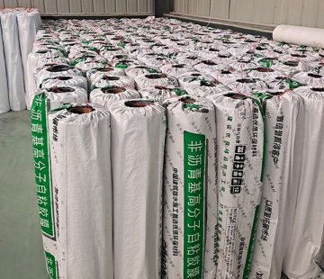 非瀝青基高分子防水卷材